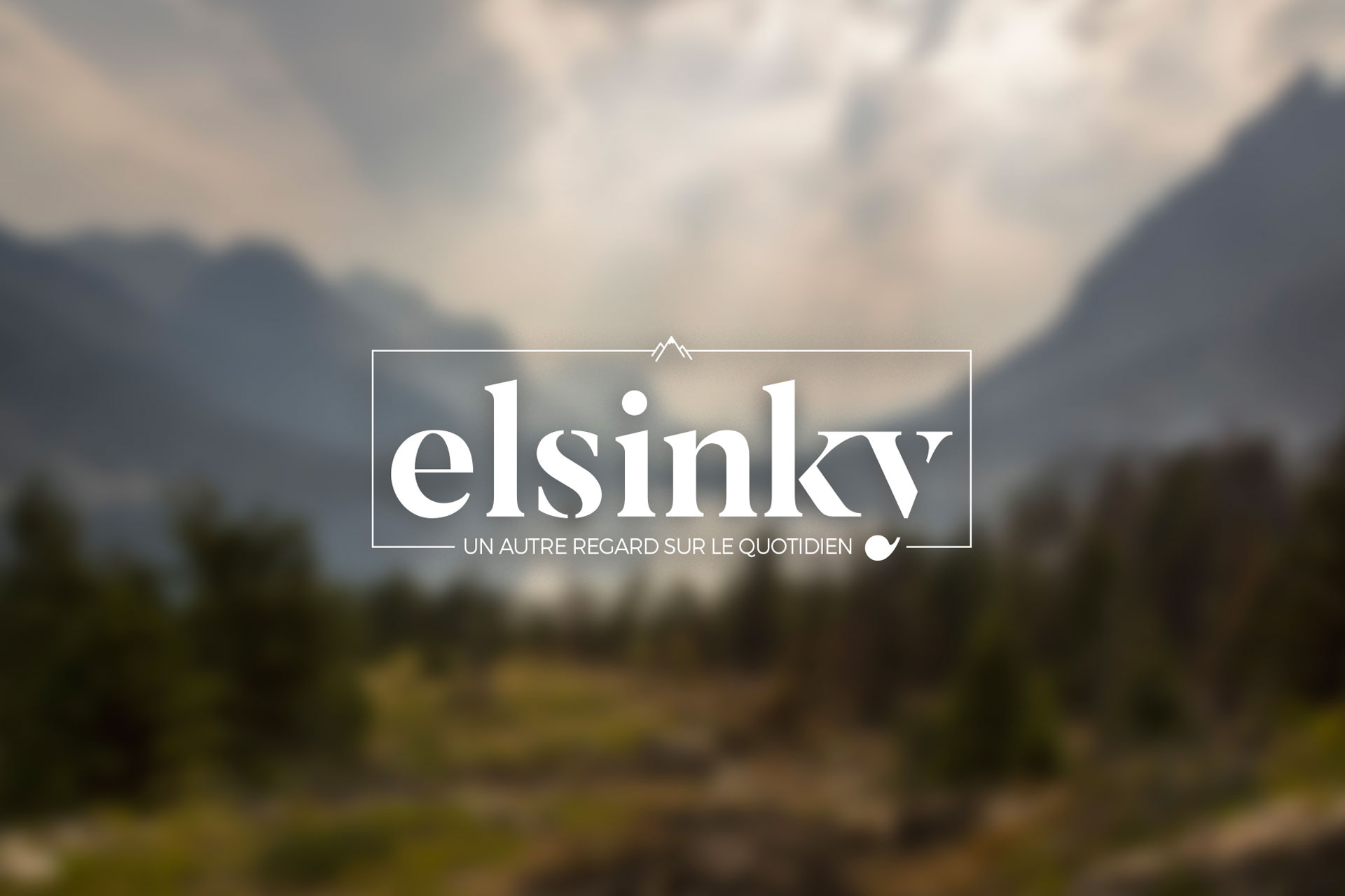 Création de l'identité graphique / logo de l'entreprise Elsinky à Rennes
